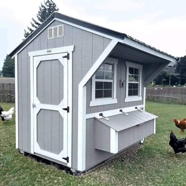 Chicken Coop